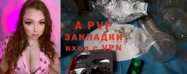 тгк Бородино