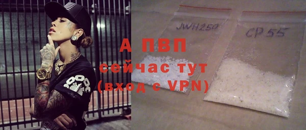тгк Бородино
