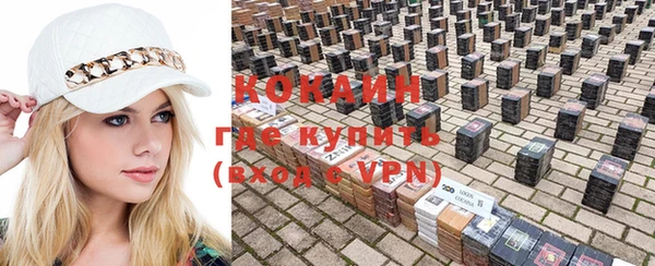 тгк Бородино