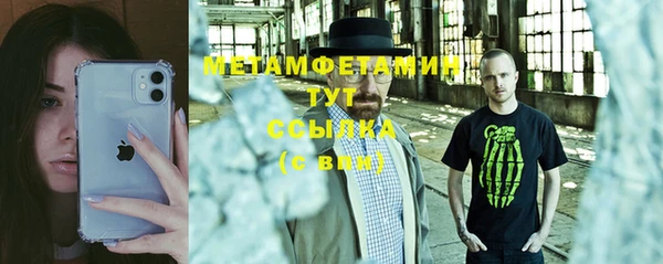 гидра Верхний Тагил
